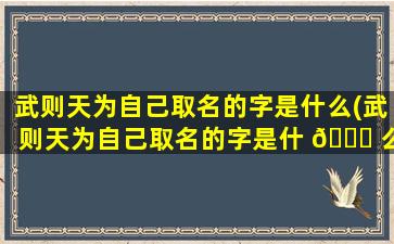 武则天为自己取名的字是什么(武则天为自己取名的字是什 🐒 么意思)